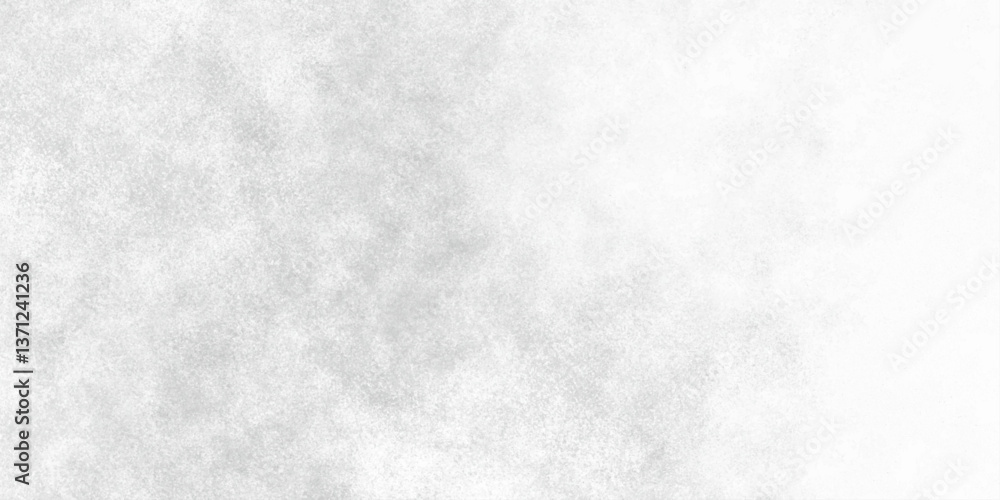 Obraz premium Abstract grainy Light grey Grunge Cloudy smoke Background Texture. Grunge Overhead view of dense smoke clouds. Light grey Textured surface of colored plastic background. Professional Stock Photo.
