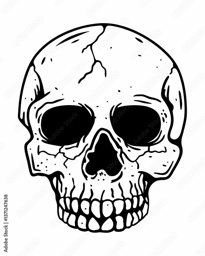 Fototapeta premium human skull vector illustration