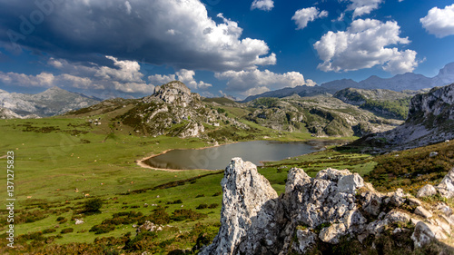 Fototapeta Naklejka Na Ścianę i Meble -  On the trail near Lagos de Covadonga