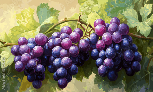 Vibrant cluster of purple and red grapes with lush green leaves background - vector