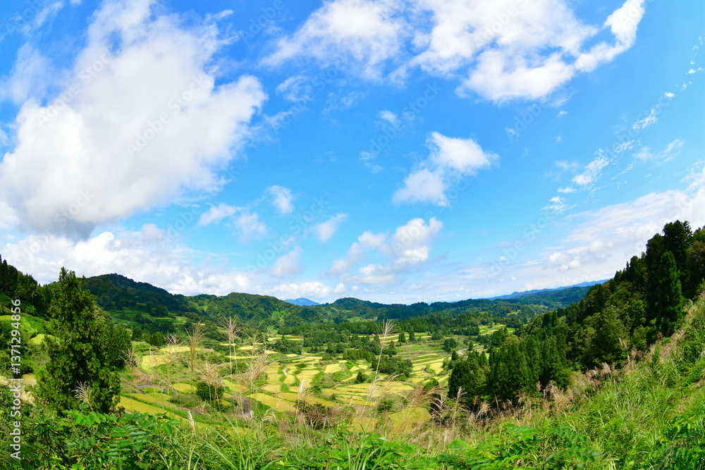 星峠の棚田(新潟県) 星峠の棚田(新潟県)
