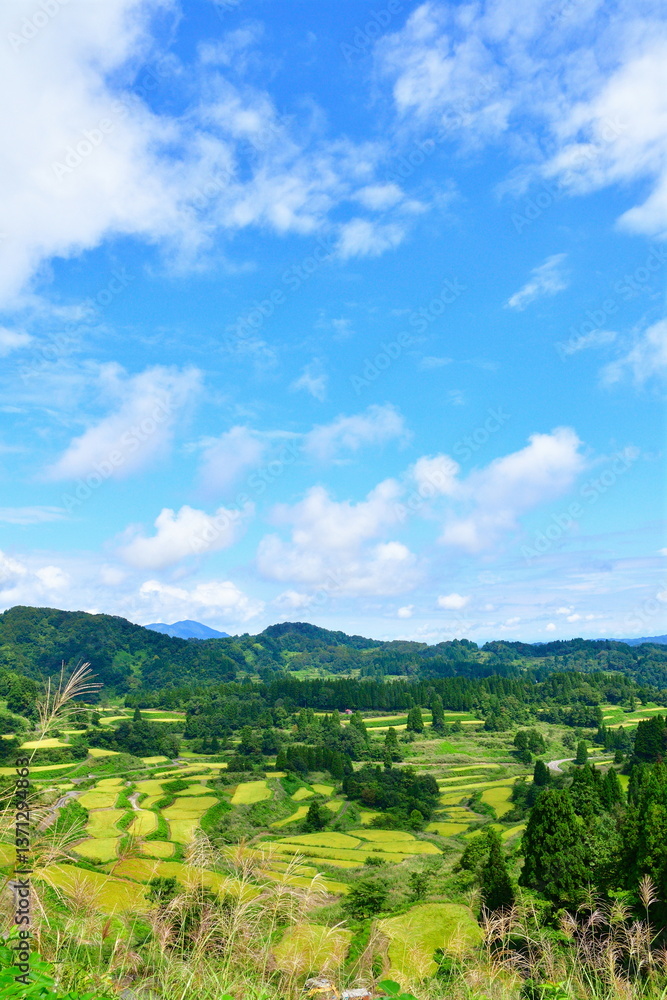 Obraz premium 星峠の棚田（新潟県）