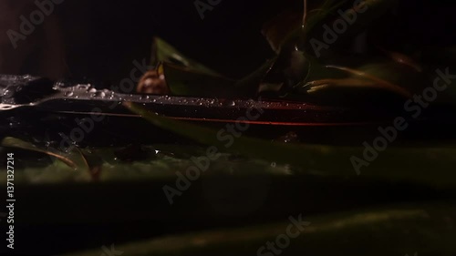 Wallpaper Mural Slow  motion 4k jungle miltary scene knife and hand grenage with camera dolly movement and rain - dolly going right from knife and ending up at heavy rain covering a grenade Torontodigital.ca