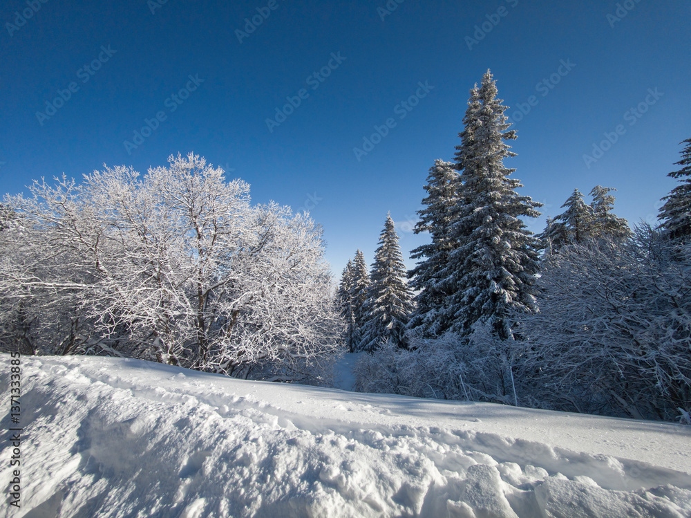 Obraz premium Panorama of Vitosha Mountain, Bulgaria