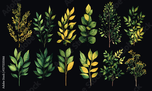 Collection of realistic green botanical leaves on black background vector