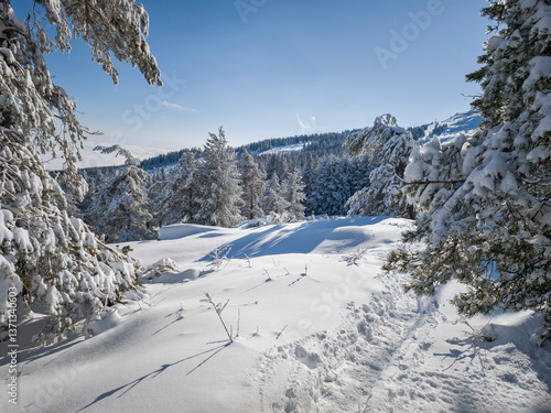 Wallpaper Mural Panorama of Vitosha Mountain, Bulgaria Torontodigital.ca
