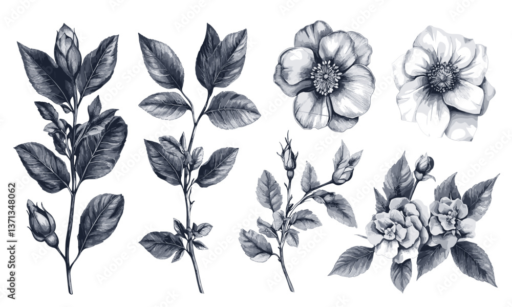 Realistic botanical flower and leaf collection vector art set Realistic botanical flower and leaf collection vector art set