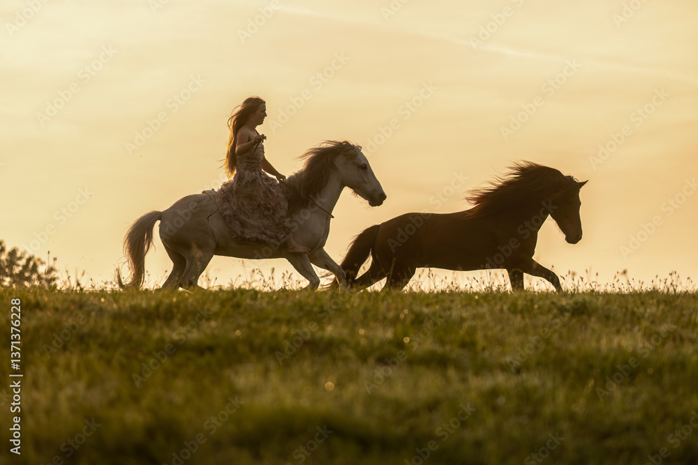 A female equestrian and her horse interacting together. Romantic freedom sunset scene