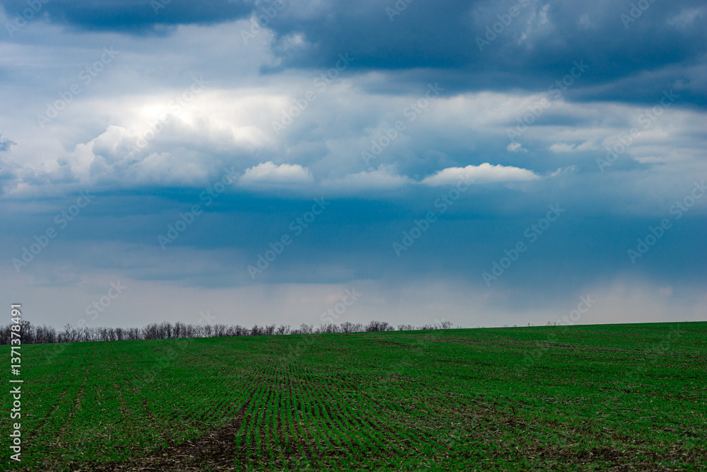 Landscape photography in the rainstorm , beautiful clouds in the sky , big and stormy clouds , forest and field , powerlines on the field,landscape photo Landscape photography in the rainstorm , beautiful clouds in the sky , big and stormy clouds , forest and field , powerlines on the field,landscape photo