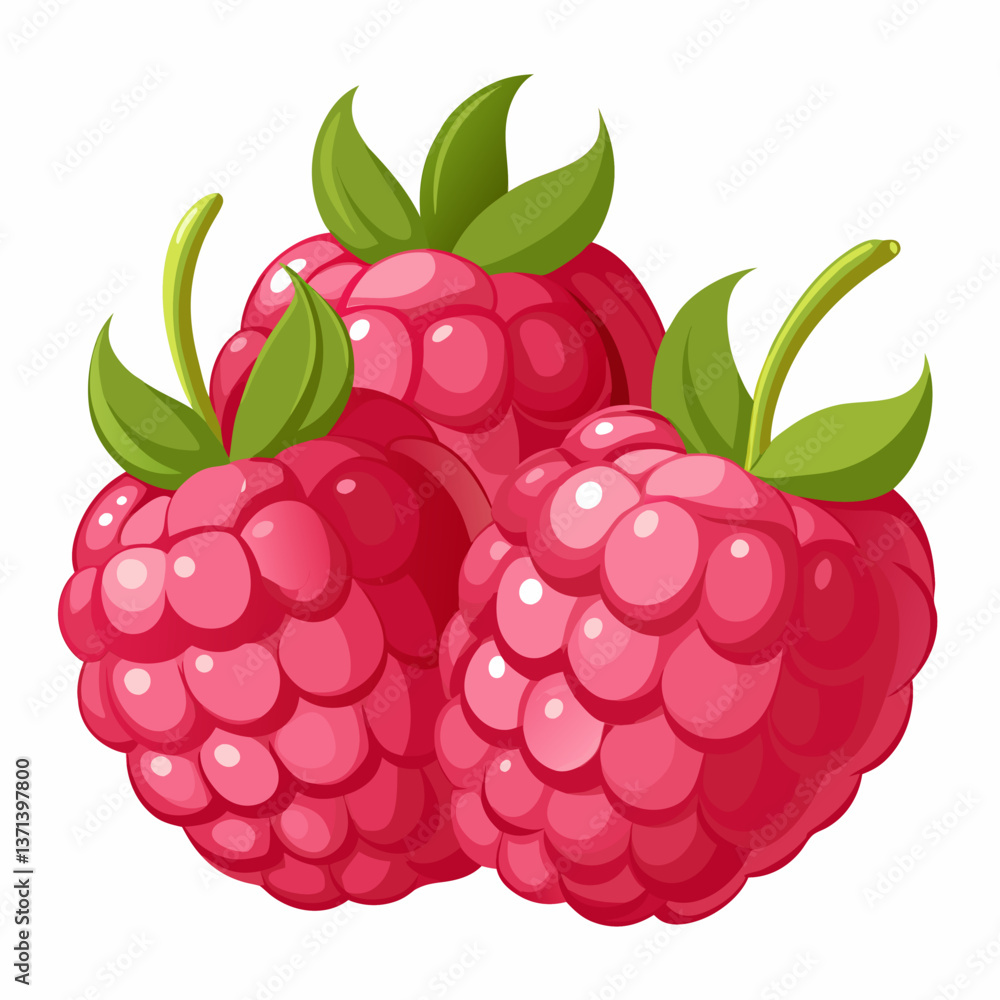 plump raspberries with soft textured surface plump raspberries with soft textured surface