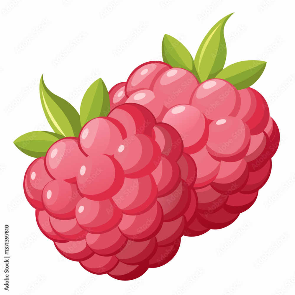 plump raspberries with soft textured surface plump raspberries with soft textured surface