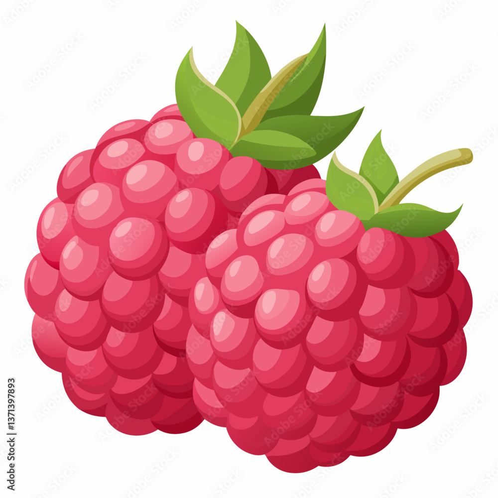 plump raspberries with soft textured surface plump raspberries with soft textured surface