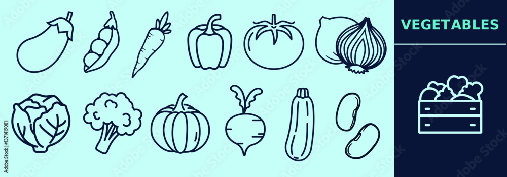 Line icons of vegetables set containing eggplant, peas, carrot, tomato, onion, cabbage, pepper, broccoli, sweet potato, zucchini, beans, veggies box. Editable elements, size and color. Line icons of vegetables set containing eggplant, peas, carrot, tomato, onion, cabbage, pepper, broccoli, sweet potato, zucchini, beans, veggies box. Editable elements, size and color.