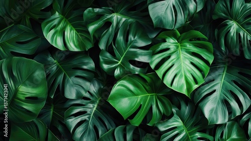Plant wall natural green wallpaper and background