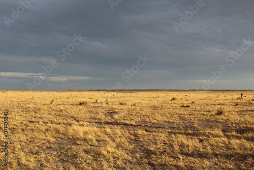 Field with brown grass and dark clouds with full sun in Marfa, Texas