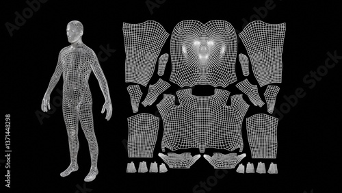 2d UV map derived from human anatomy. Unwrapped 3d man model. Flat 2d UV planar map generated from a 3-dimensional wireframe human male.  3d render illustration
