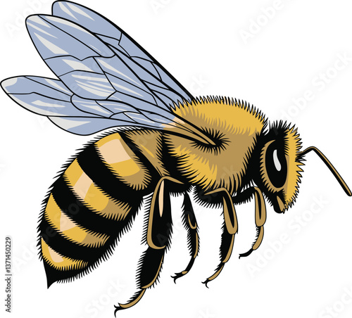 Cute cartoon a illustrator honey bee vector with a white backround