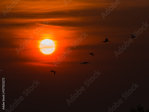 sunset in the sky