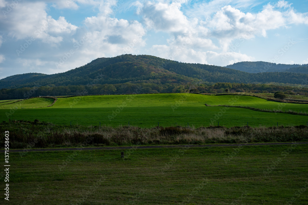 山並みを背景に広がる緑の牧草地と青空の自然風景 山並みを背景に広がる緑の牧草地と青空の自然風景