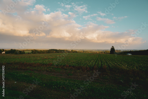 夕暮れの空と広大な農地が広がる美しい風景