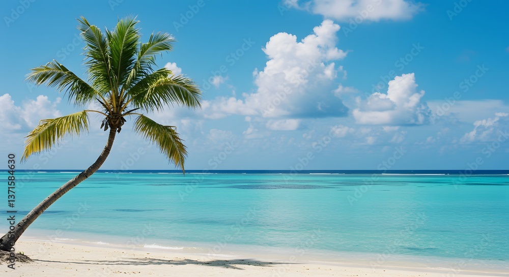 Palm Tree on Tropical Shore Palm Tree on Tropical Shore