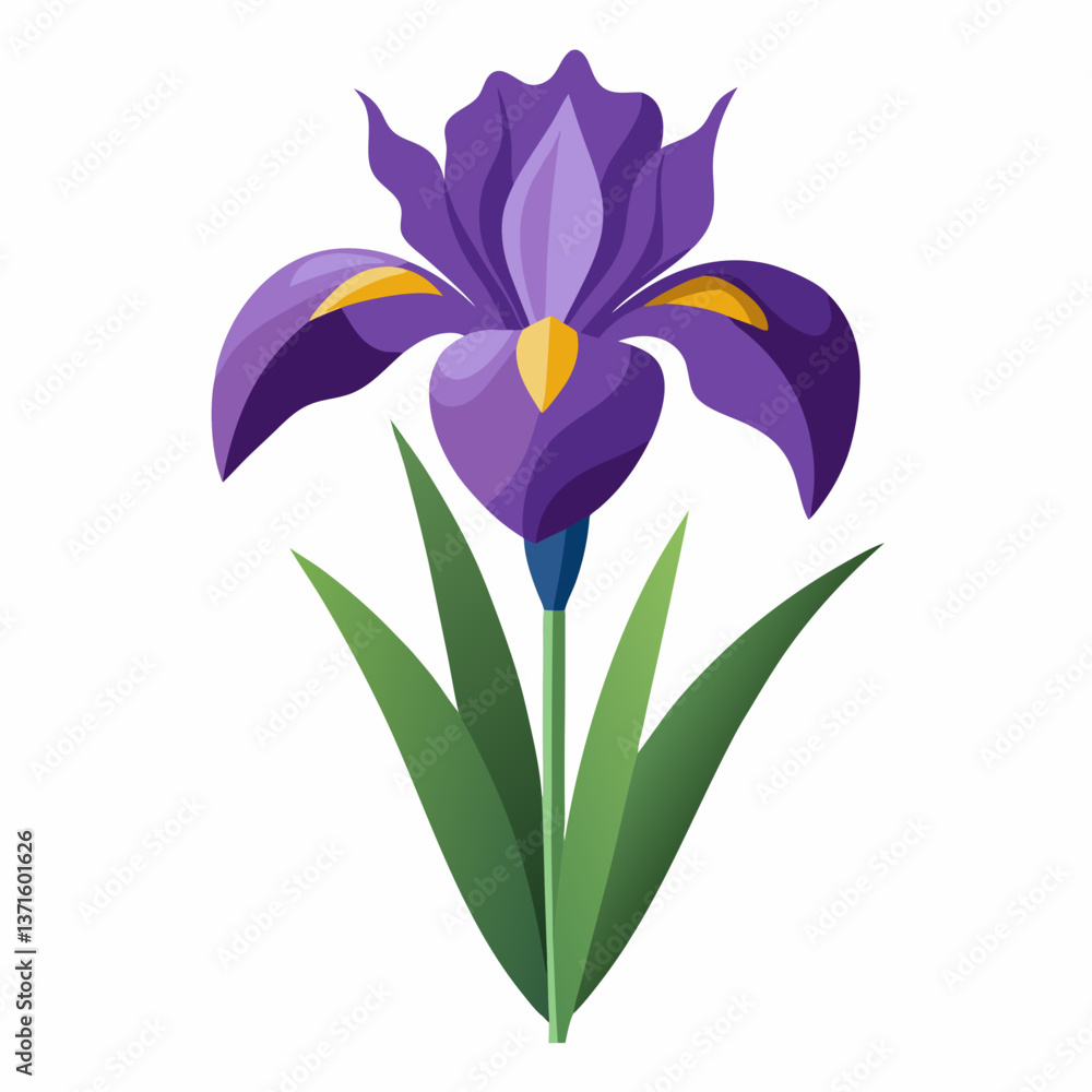 Naklejka premium Iris flower isolated vector