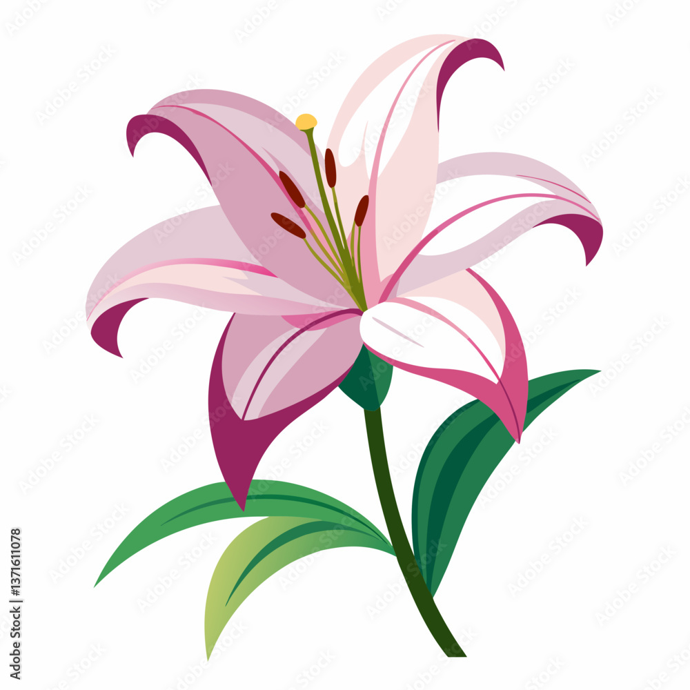Naklejka premium Lily flower isolated vector