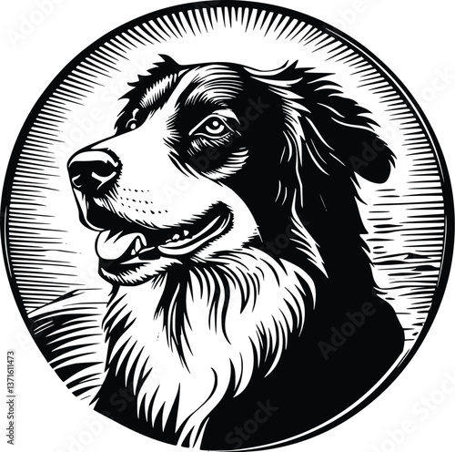 Black and White Border Collie Vector Illustration in Circular Logo Design for Pet Branding