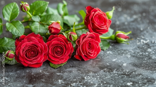 Fresh Red Roses on a Dark Stone Background..