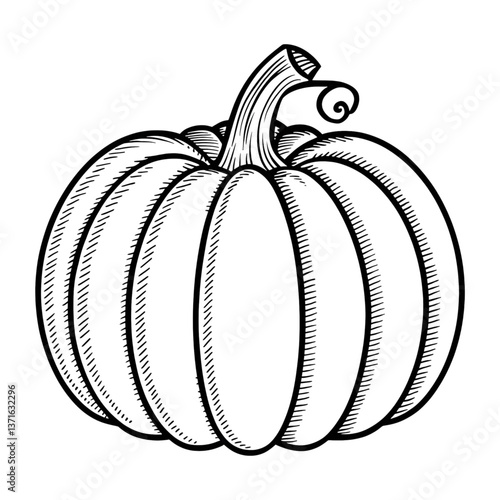 Obraz na płótnie Pumpkin Icon - Hand-Drawn Autumn Harvest Vegetable Line Art w salonie