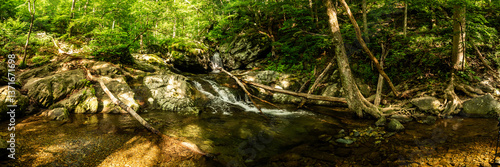 Obraz na płótnie Waterfall At The Bottom of Cedar Run In Shedandoah w salonie
