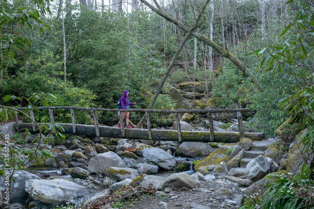 Woman Hikes Across Footbridge over Creek in the Smokies