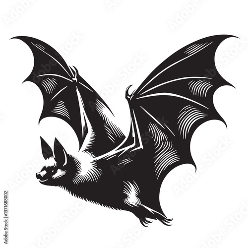 Black Hawaiian Hoary Bat Silhouette Vector, High Quality Illustration on White Background