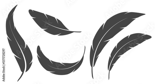 A set of curved flying bird feathers. Bird feather simple silhouette. Flat vector illustration isolated on white background.