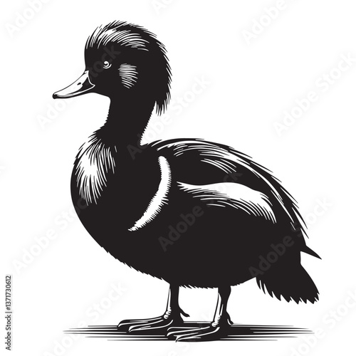 Black Madagascar Pochard Silhouette Vector, High Quality Illustration on White Background
