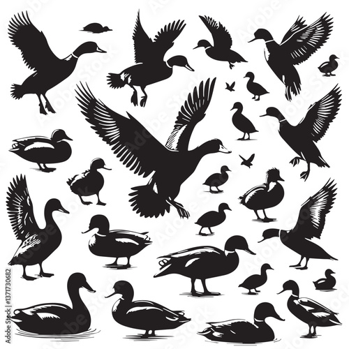 Black Madagascar Pochard Silhouette Vector, High Quality Illustration on White Background