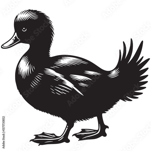 Black Madagascar Pochard Silhouette Vector, High Quality Illustration on White Background