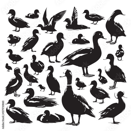 Black Madagascar Pochard Silhouette Vector, High Quality Illustration on White Background