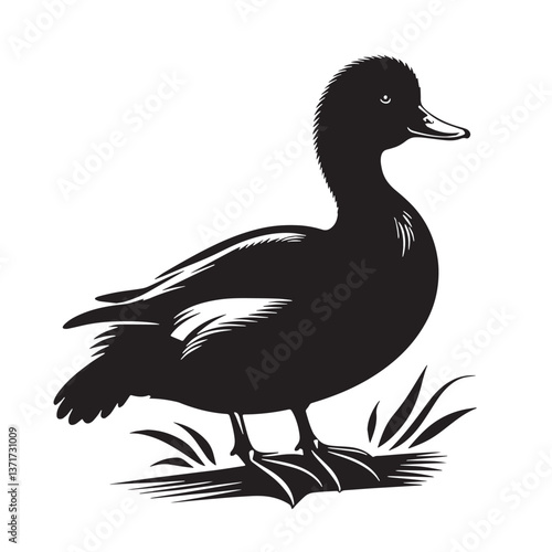 Black Madagascar Pochard Silhouette Vector, High Quality Illustration on White Background