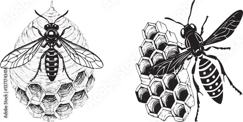 A wasp making its vespiary silhouette vector design with white background.