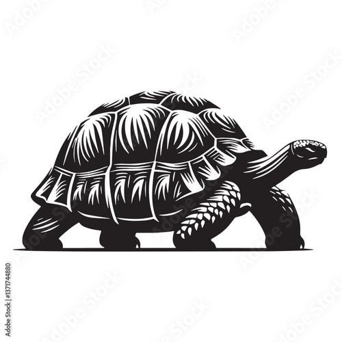Black Pinta Giant Tortoise Silhouette Vector, High Quality Illustration on White Background