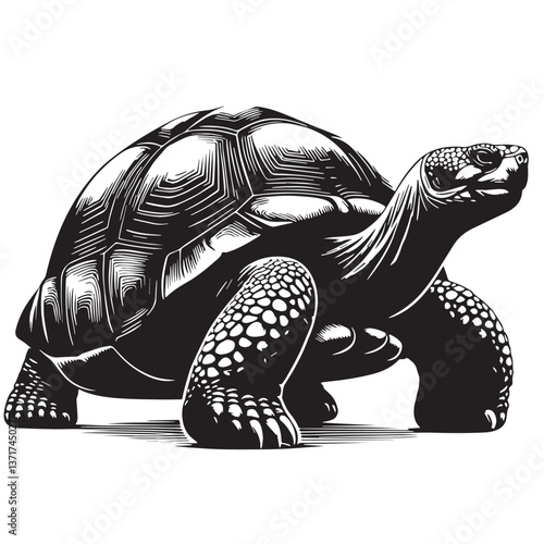 Black Pinta Giant Tortoise Silhouette Vector, High Quality Illustration on White Background