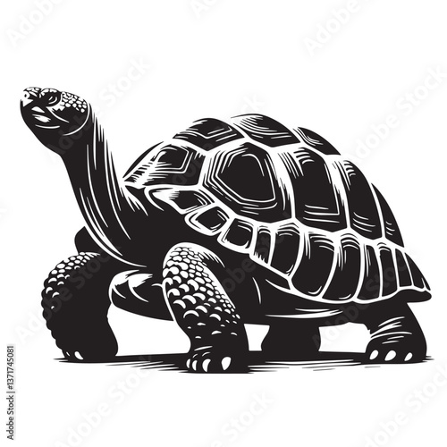 Black Pinta Giant Tortoise Silhouette Vector, High Quality Illustration on White Background