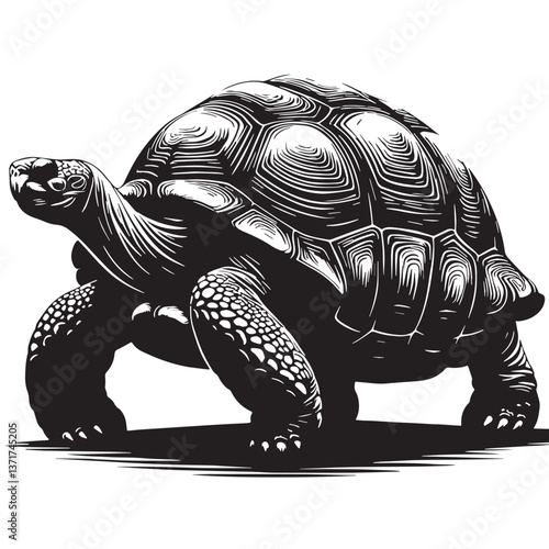 Black Pinta Giant Tortoise Silhouette Vector, High Quality Illustration on White Background