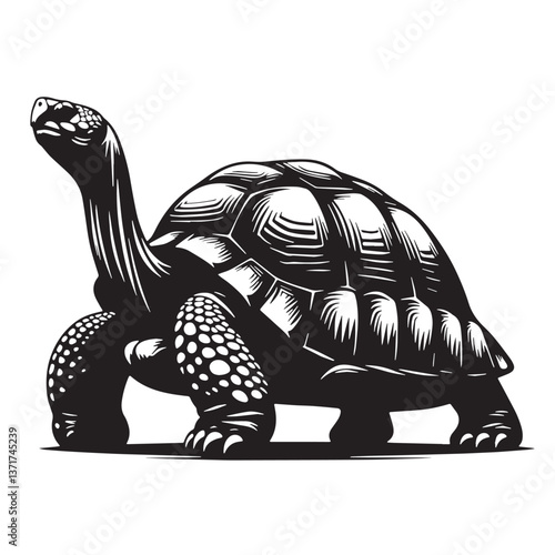 Black Pinta Giant Tortoise Silhouette Vector, High Quality Illustration on White Background