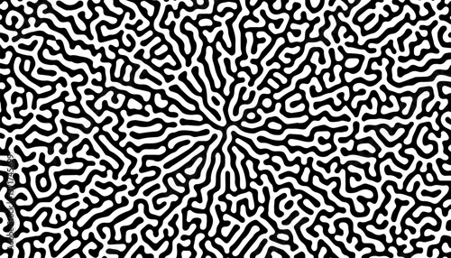 Black and white circular turing pattern. Rustic pattern for modern ethnic background. Vector Format Illustration 