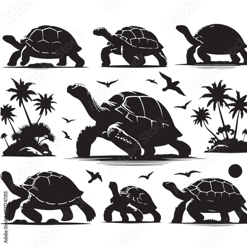 Black Pinta Island Tortoise Silhouette Vector, High Quality Illustration on White Background