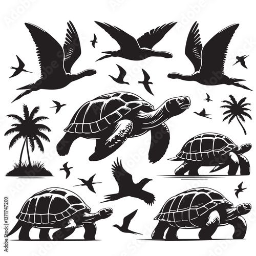 Black Pinta Island Tortoise Silhouette Vector, High Quality Illustration on White Background