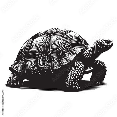 Black Pinta Island Tortoise Silhouette Vector, High Quality Illustration on White Background
