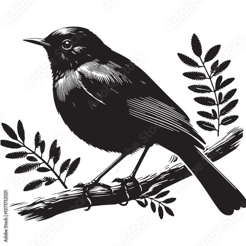 Black Rodrigues Solitaire Silhouette Vector, High Quality Illustration on White Background
